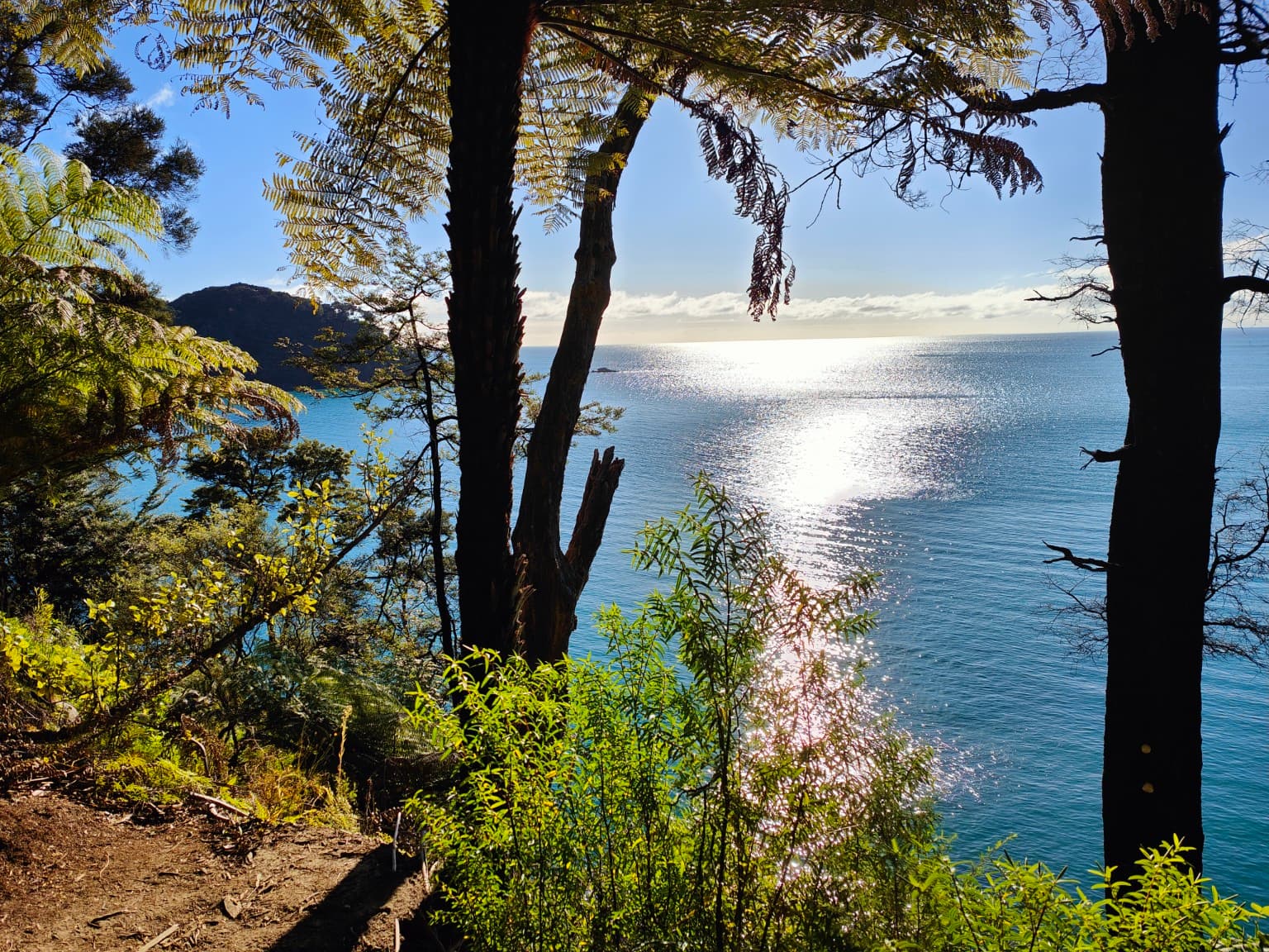 The trees opened briefly, and the afternoon sea returned beside the track.