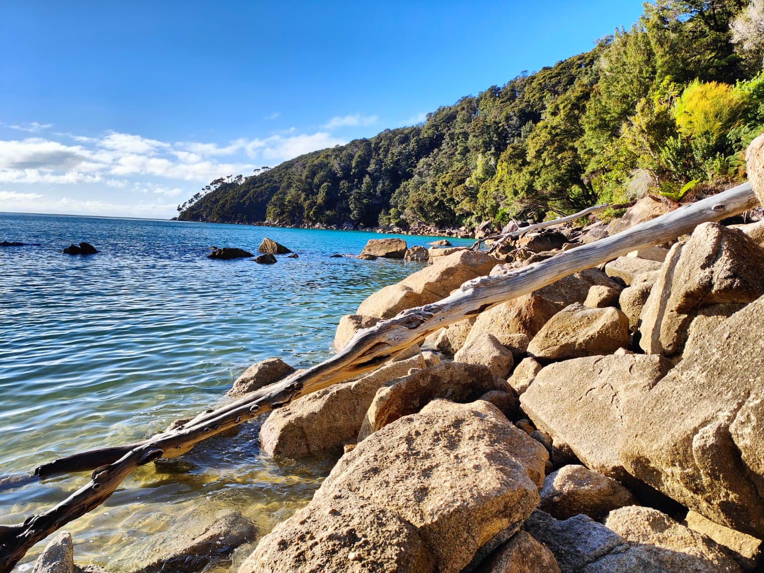 Driftwood lay across the granite while clear water held every edge of the rocks.