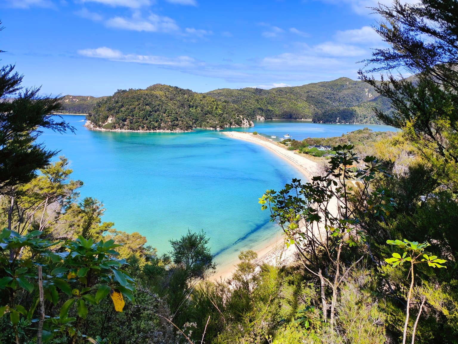 Torrent Bay from the high-tide track