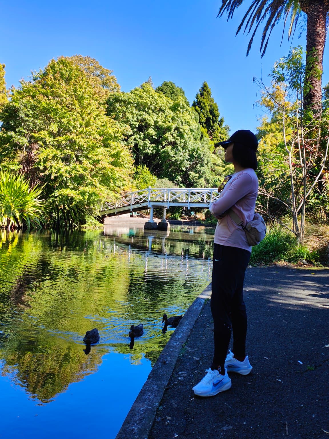 The white bridge stayed in its reflection while ducks moved past our feet.