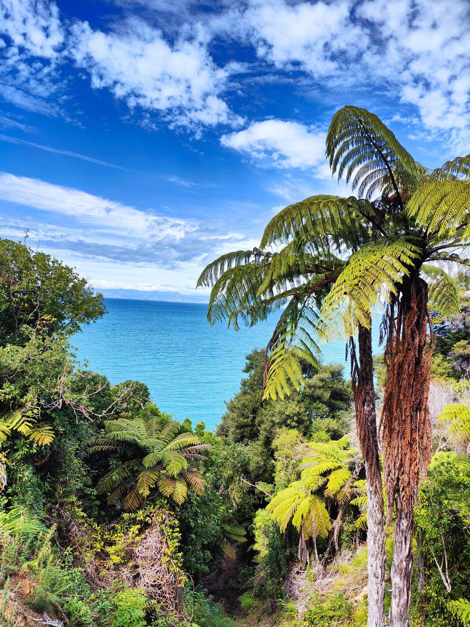 Abel Tasman: Where the Sea Walked Part of the Way