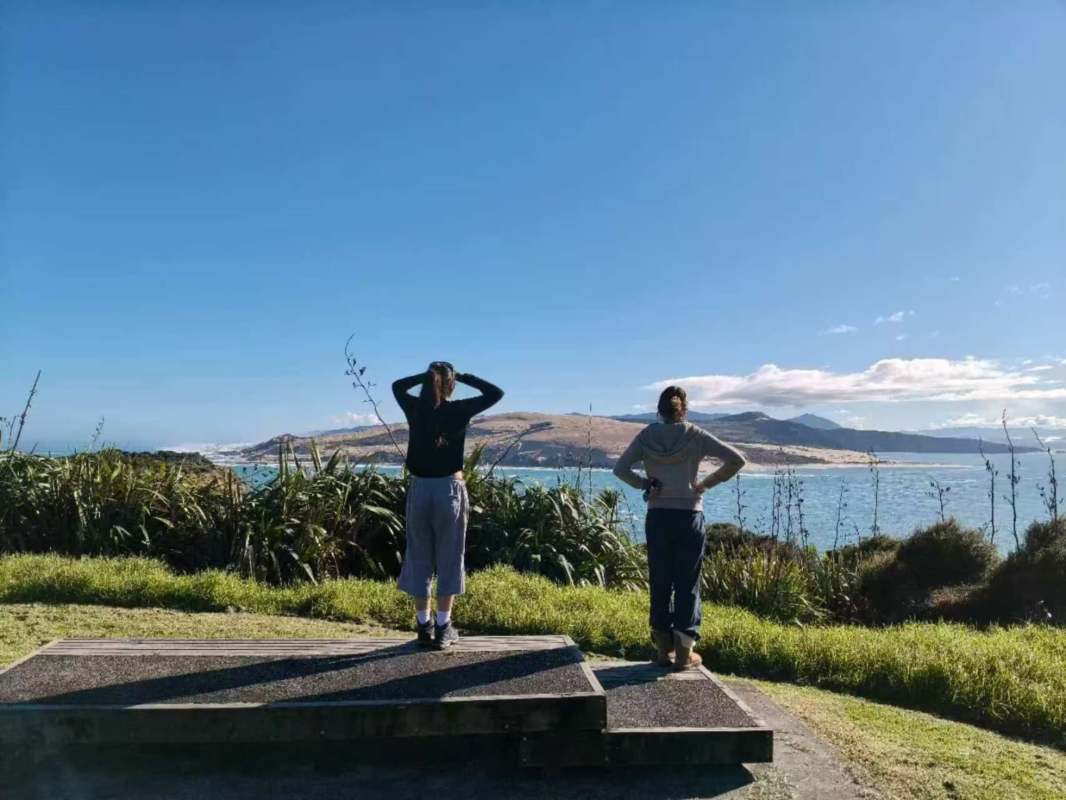 arai viewpoint