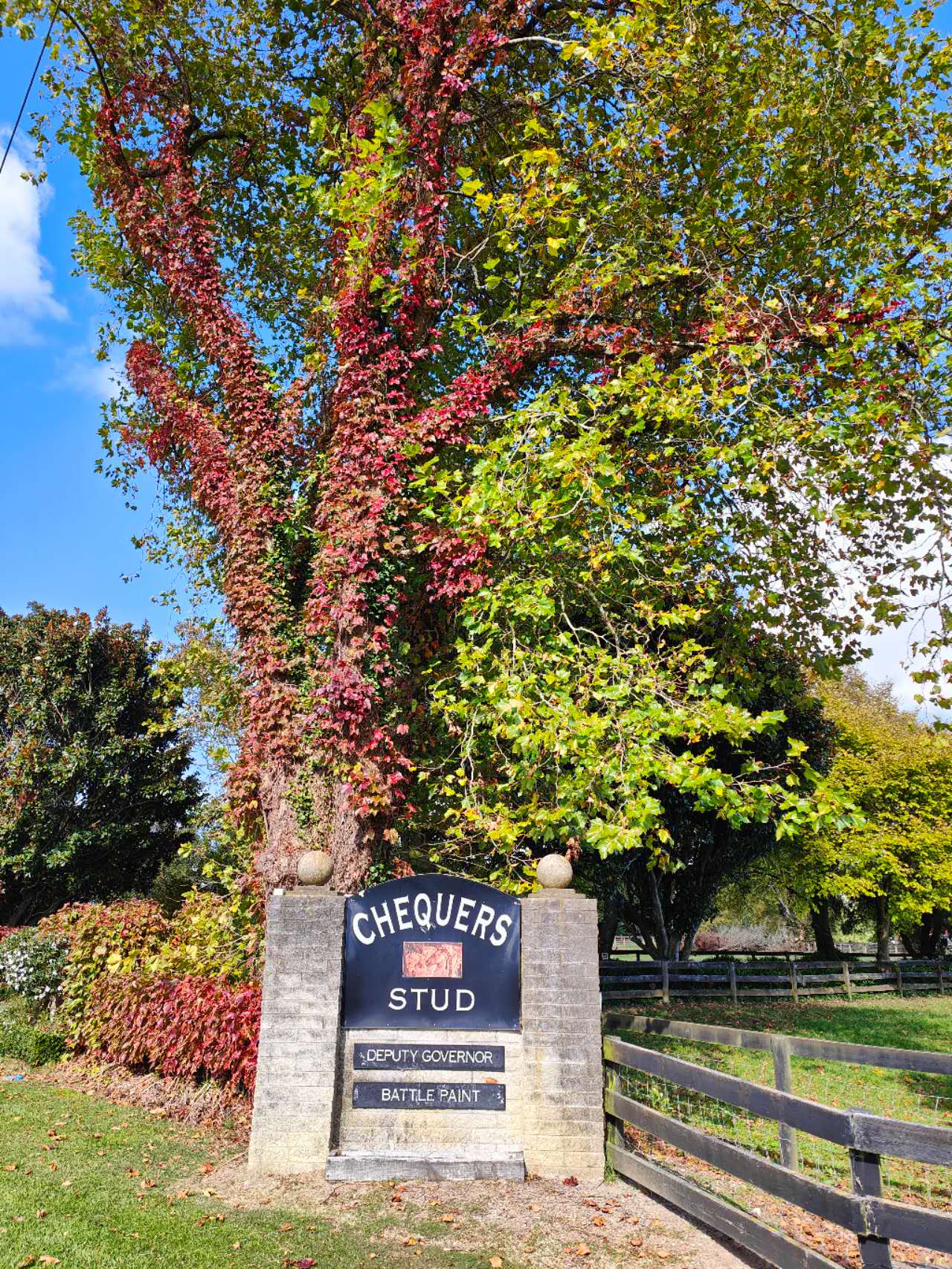 The entrance to Chequers Stud beneath autumn trees