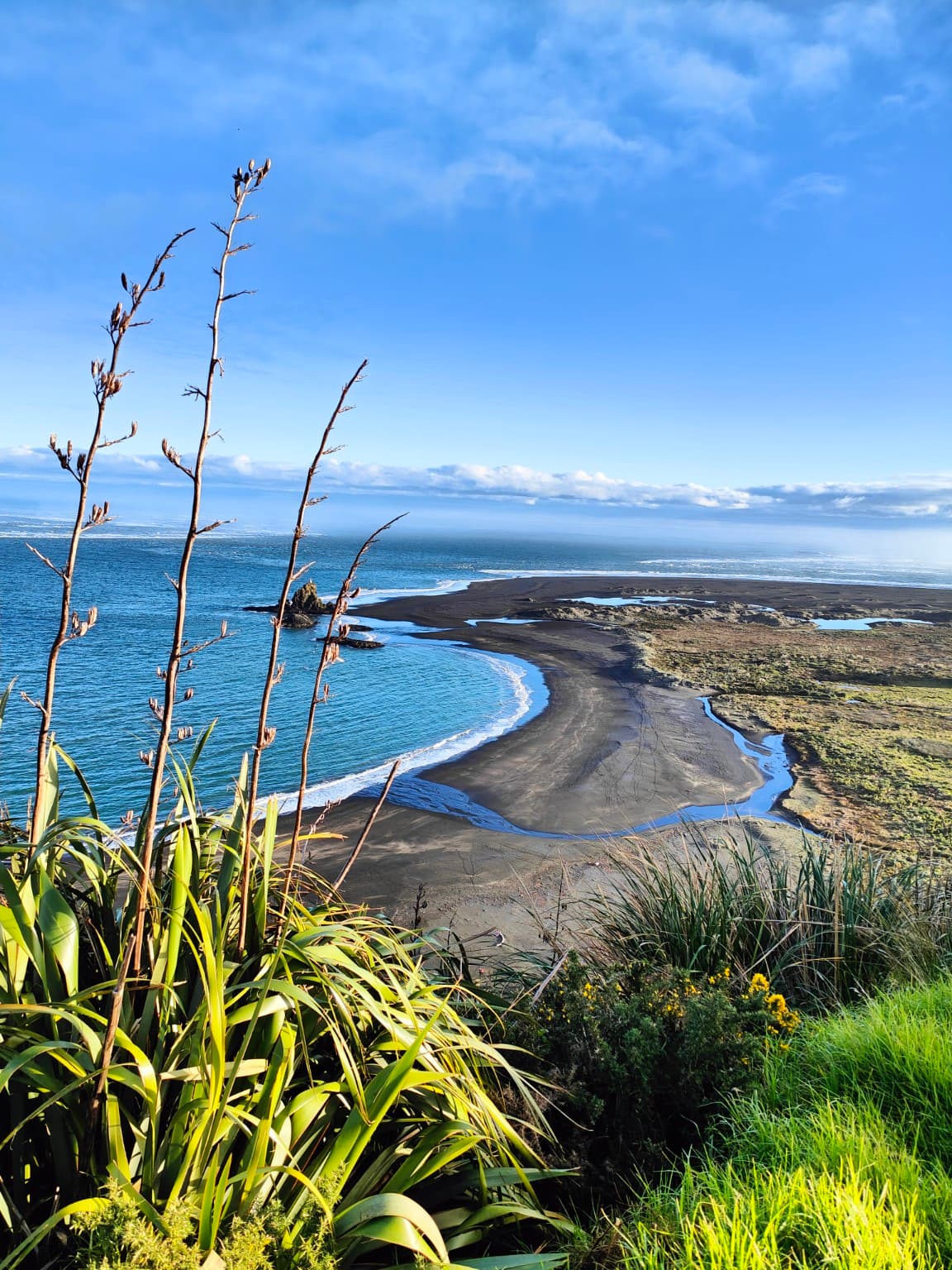 Black sand coast, blue sea and New Zealand flax