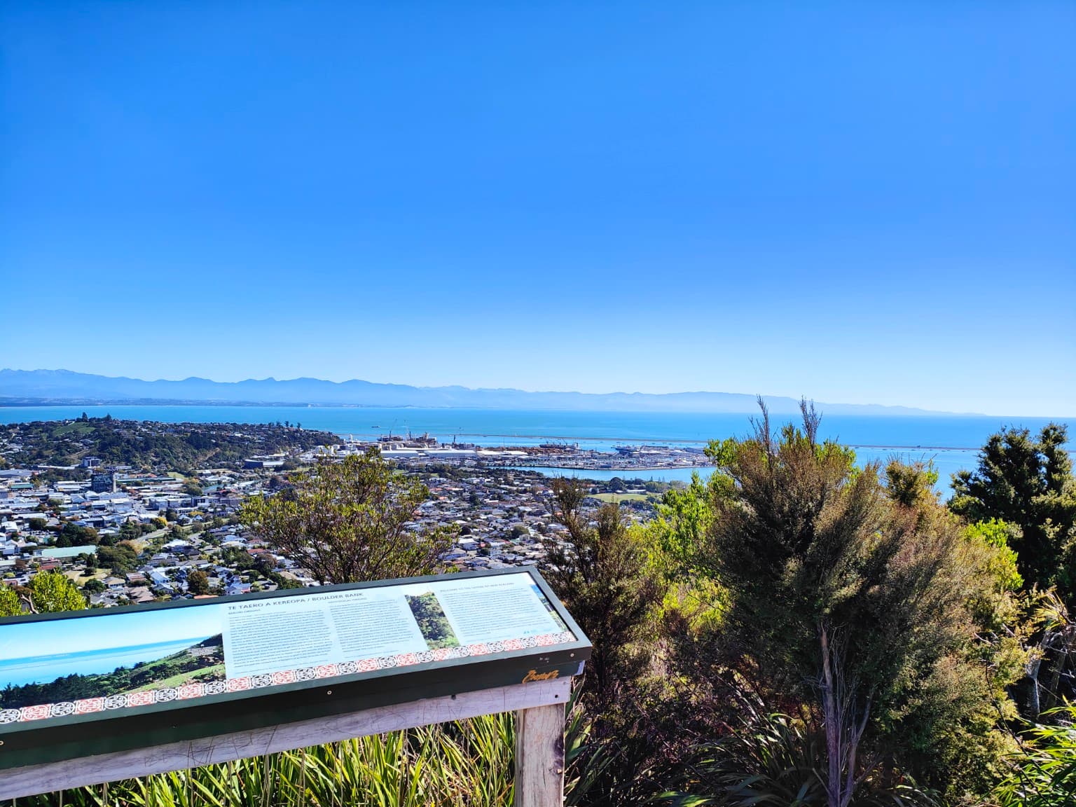 Nelson and Tasman Bay viewed from Botanical Hill