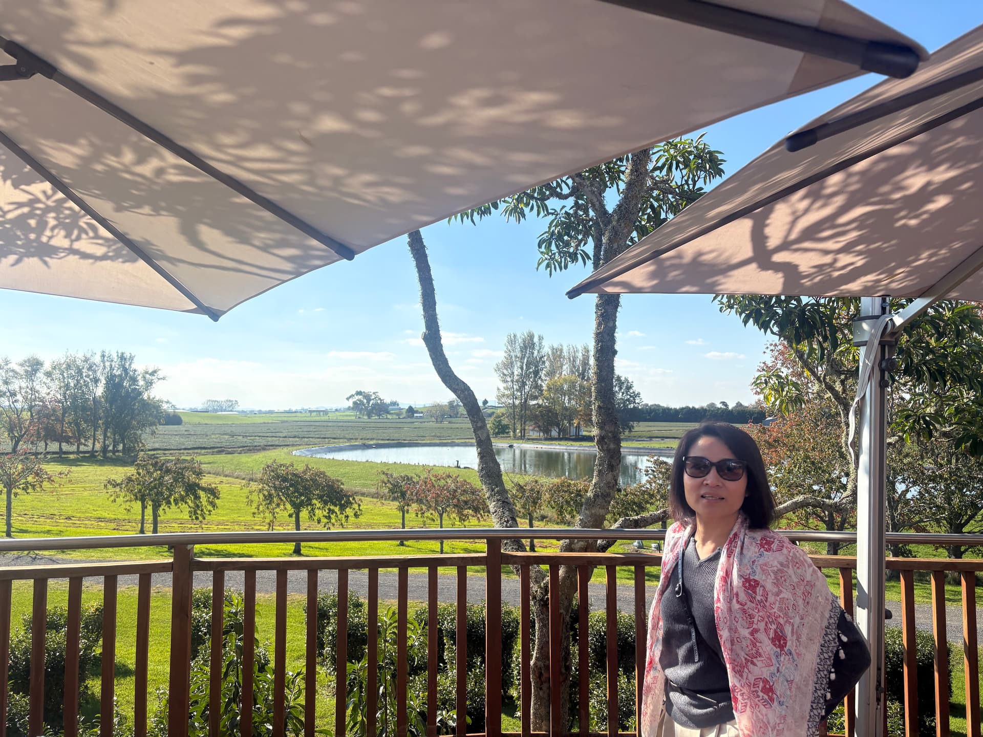 Tea fields, a pond and farmland beyond the terrace at Zealong Tea Estate