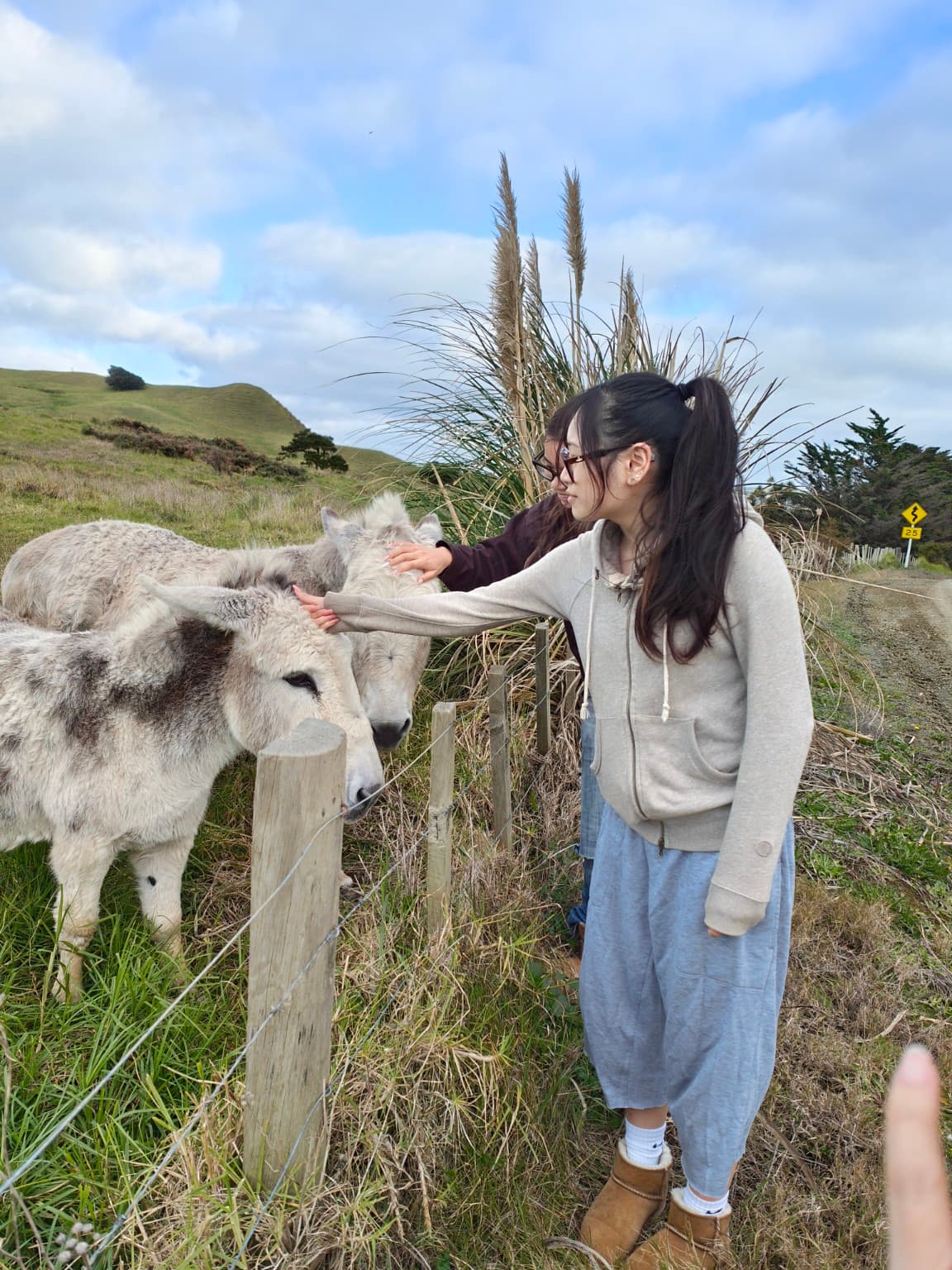 Touching a Donkey, Touching Time | Hokianga | SeeNZAgain
