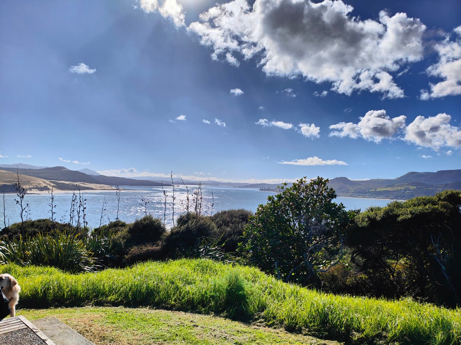 Hokianga Harbour
