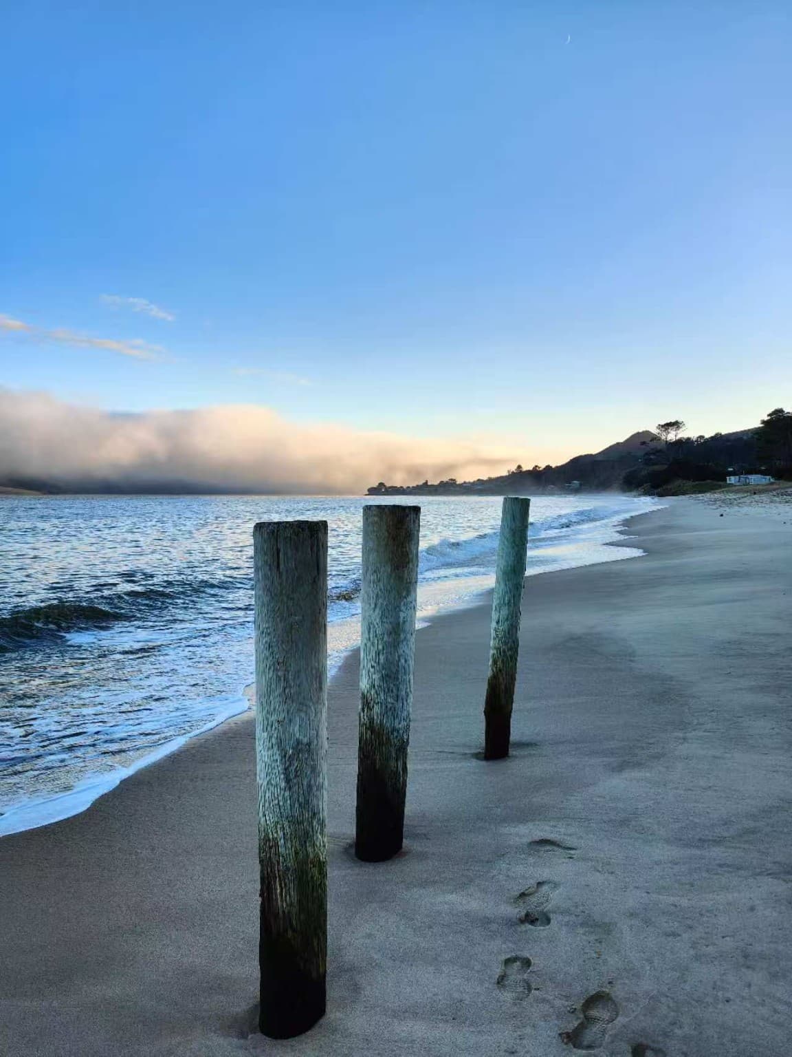 Ōmāpere shoreline