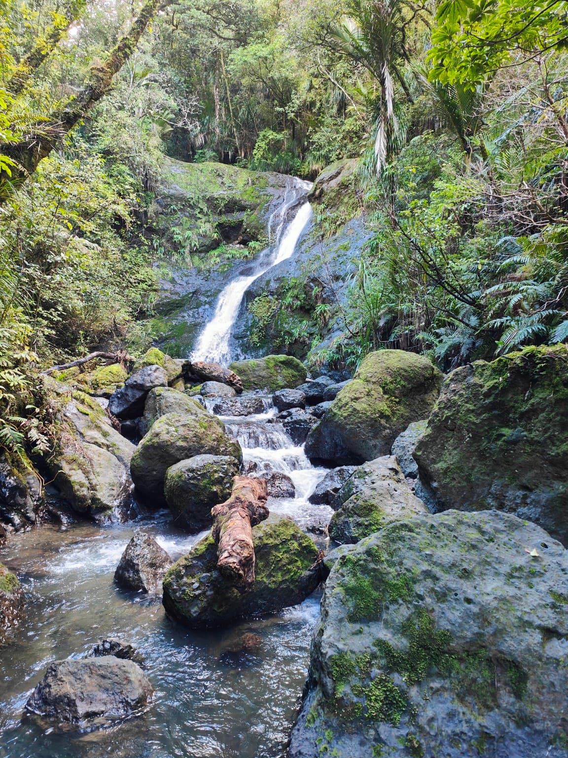 Waiotemarama Waterfall