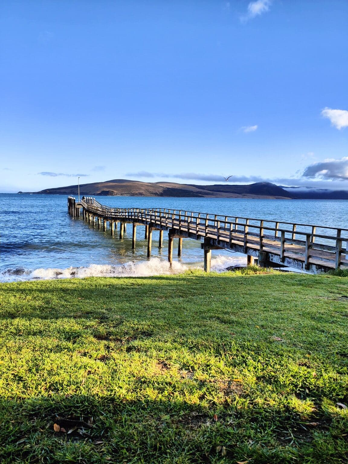 Hokianga Harbour in the morning