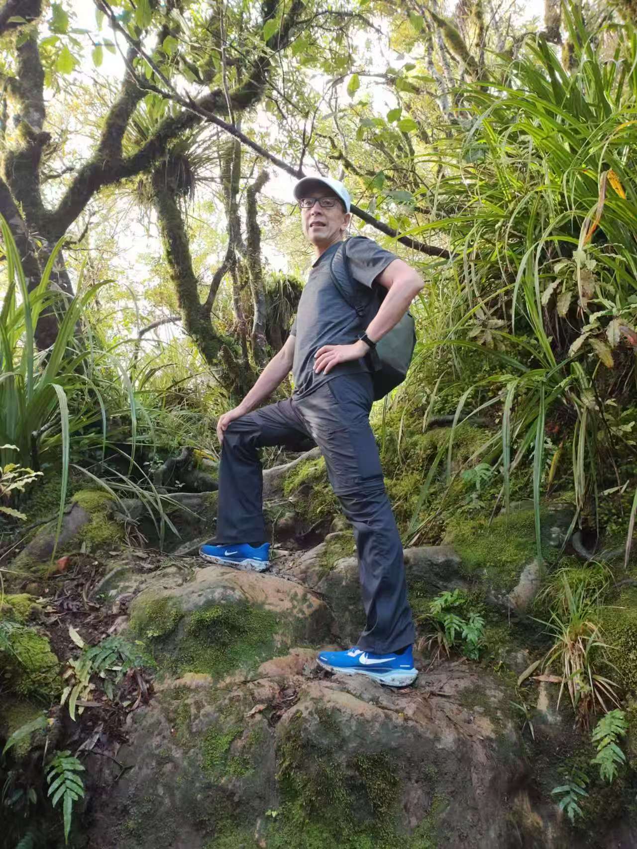Mount Te Aroha 山径上裸露的树根与陡坡