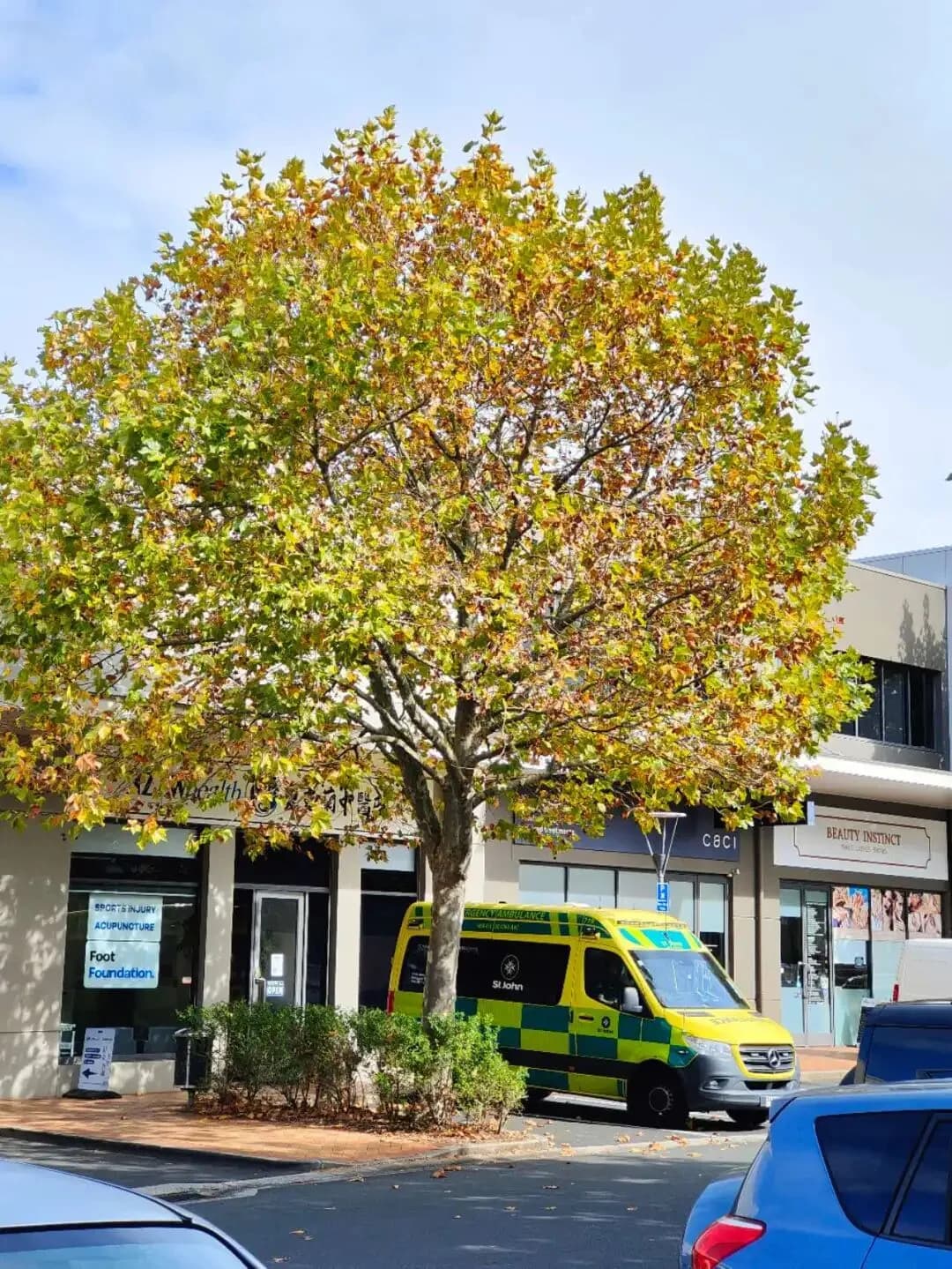 Illustrative photograph of a New Zealand ambulance