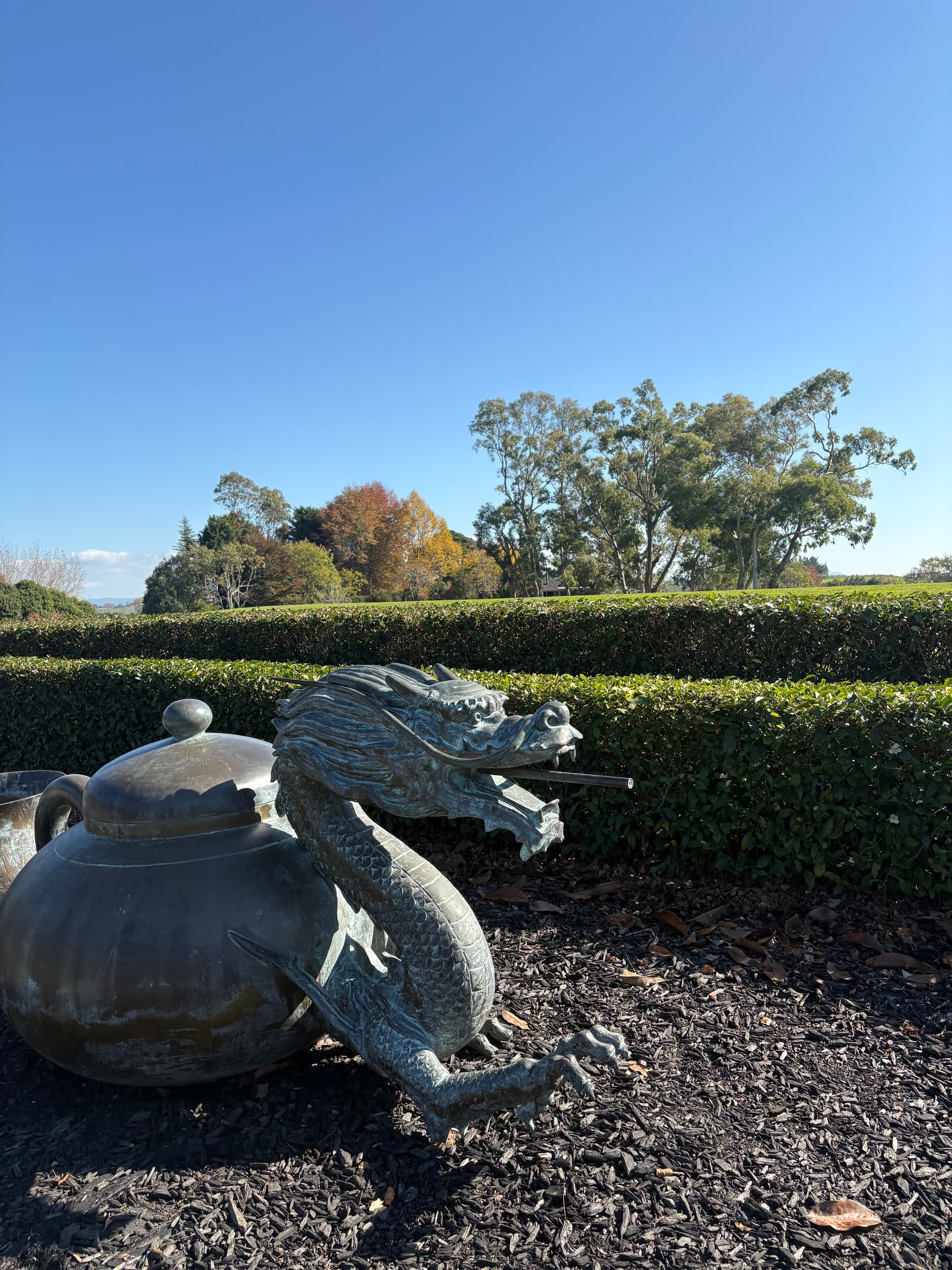 A bronze dragon and teapot installation at Zealong Tea Estate