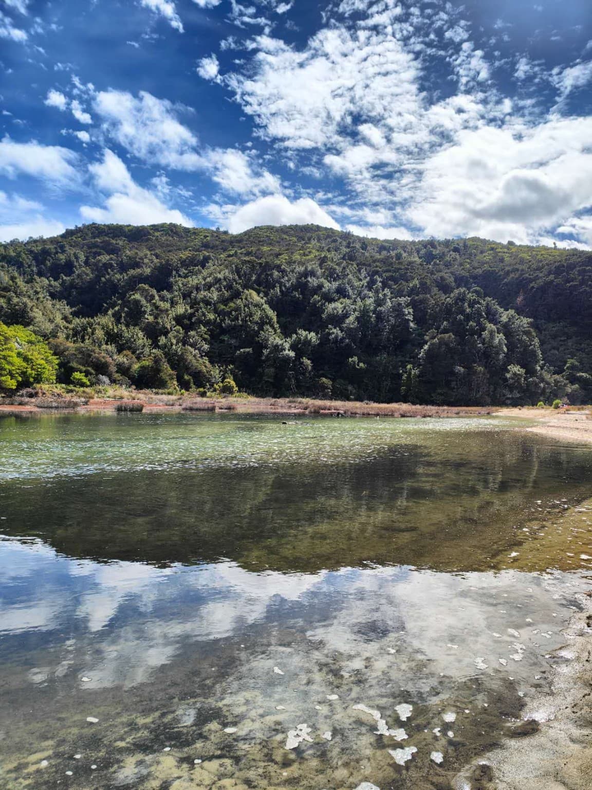 Reflections in the Apple Tree Bay lagoon