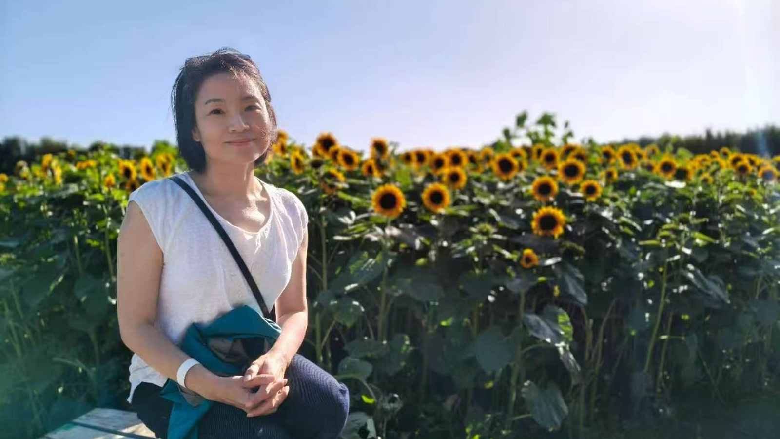 Katherine seated beside the mature sunflower field at Franklin Farm in Waimauku.