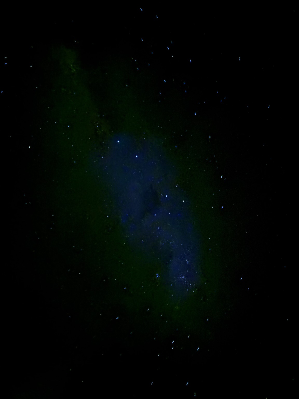 HOKIANGA NIGHT detail